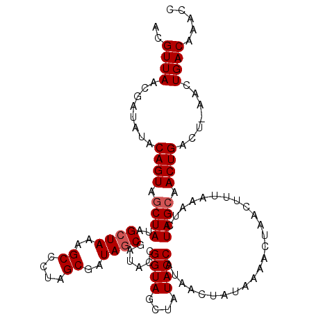 secondary structure