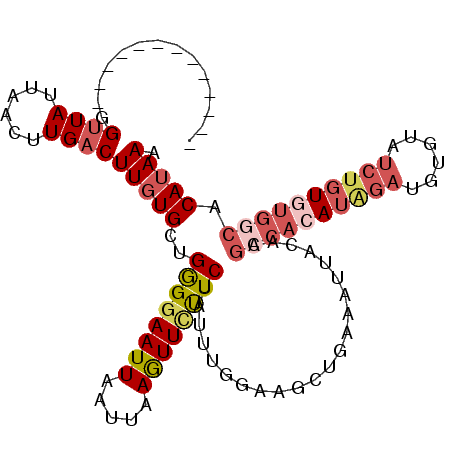 secondary structure