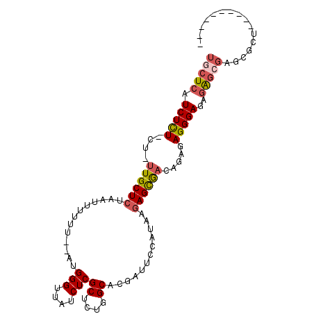 secondary structure
