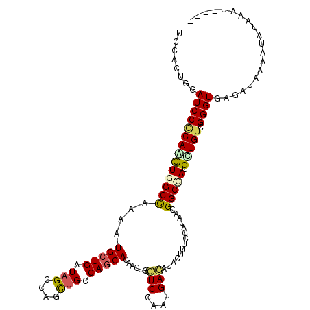 secondary structure