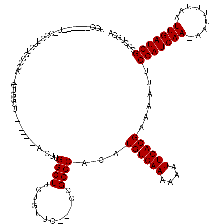 secondary structure