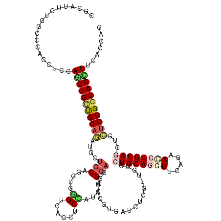 secondary structure