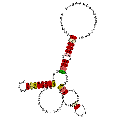 secondary structure