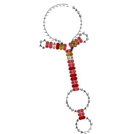 secondary structure