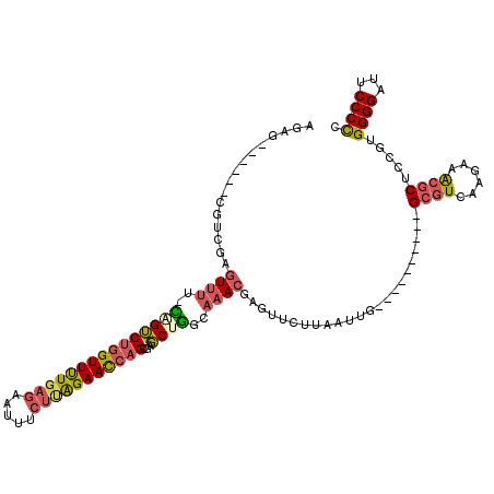secondary structure