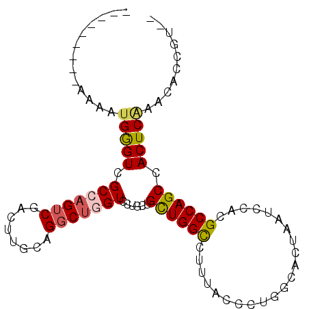 secondary structure