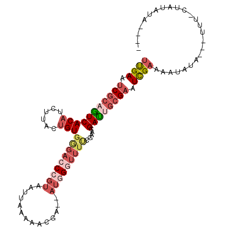 secondary structure