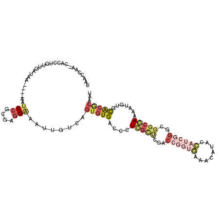 secondary structure