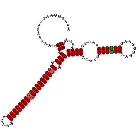 secondary structure
