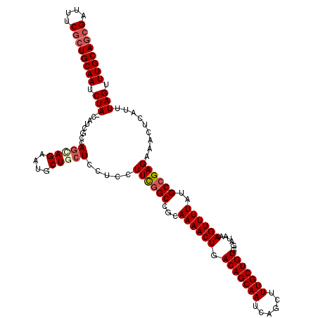 secondary structure