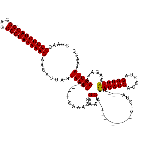 secondary structure