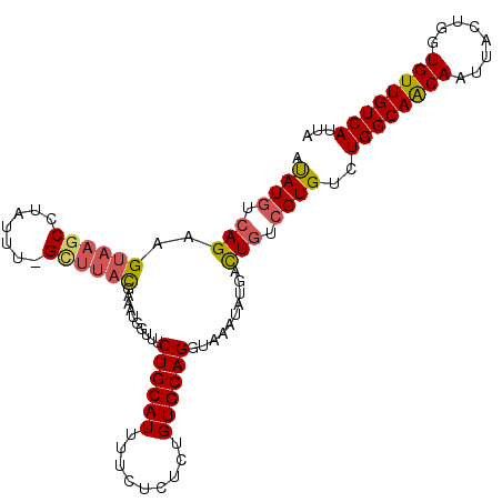 secondary structure