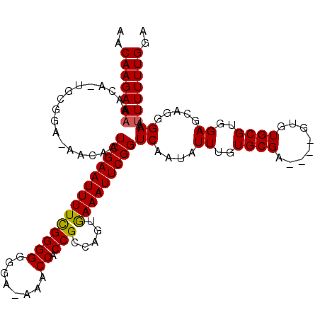 secondary structure