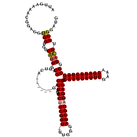 secondary structure
