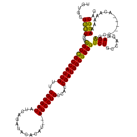 secondary structure