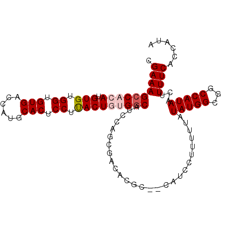 secondary structure