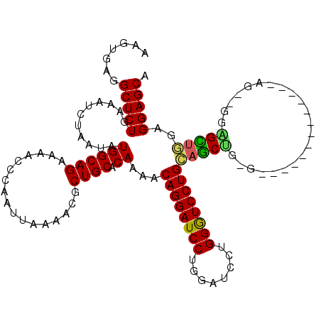 secondary structure