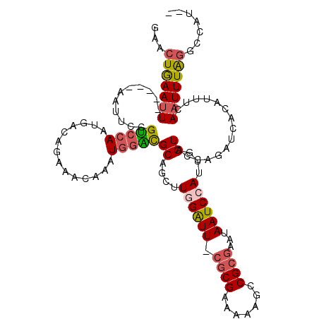 secondary structure
