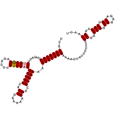 secondary structure