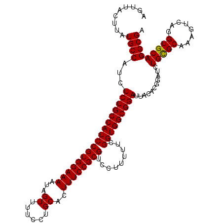 secondary structure