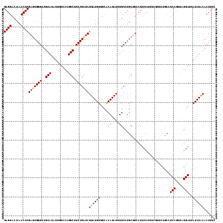 dotplot