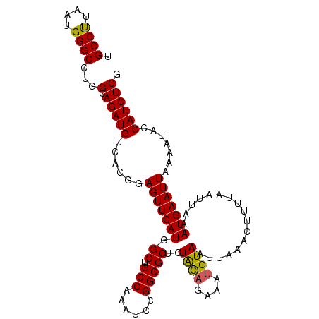secondary structure