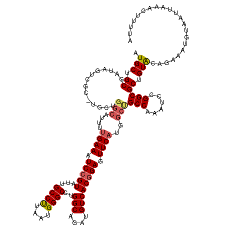 secondary structure