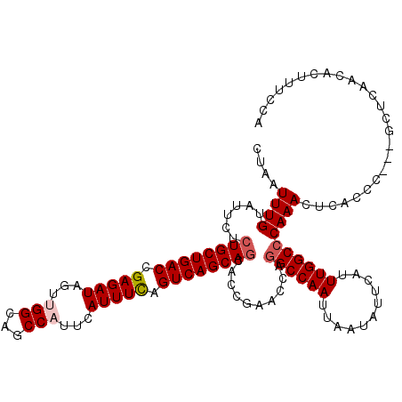 secondary structure
