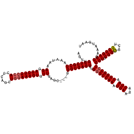 secondary structure