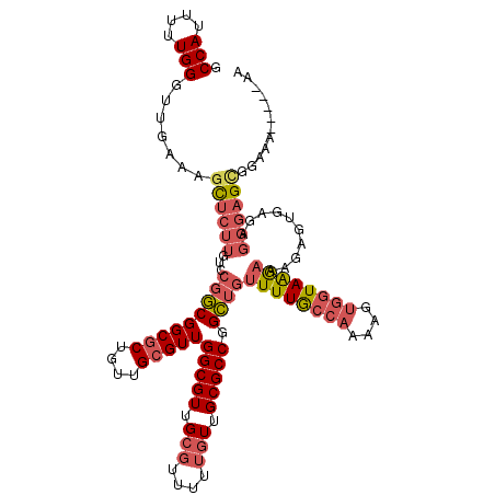 secondary structure