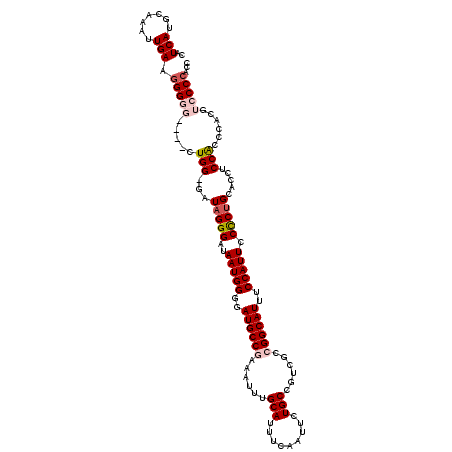 secondary structure