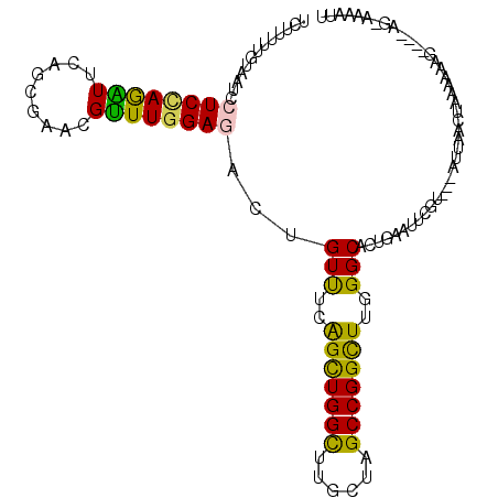 secondary structure