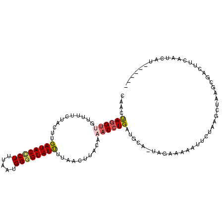 secondary structure