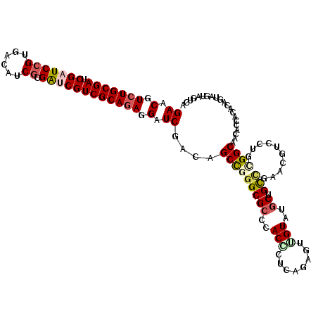 secondary structure