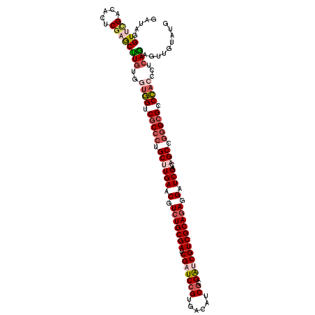 secondary structure