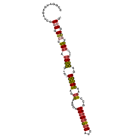 secondary structure