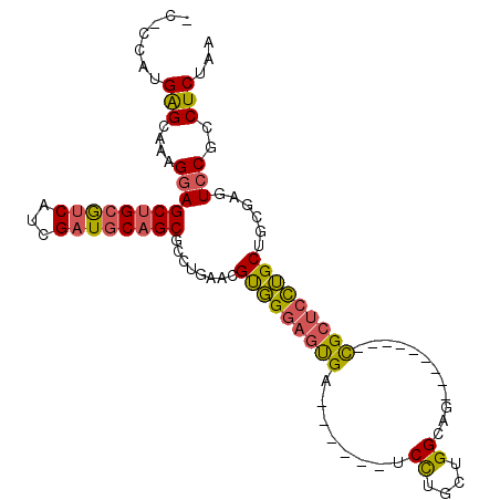 secondary structure