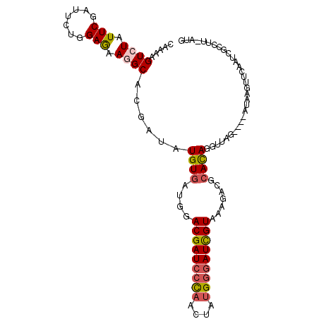 secondary structure