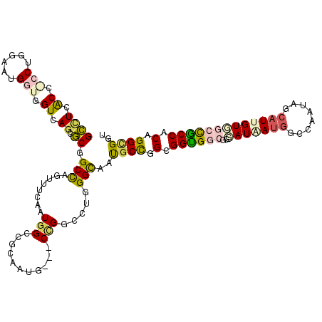 secondary structure