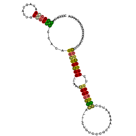secondary structure