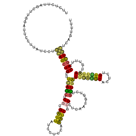 secondary structure