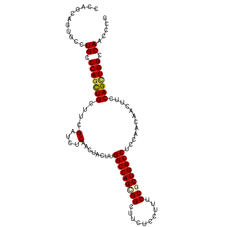 secondary structure
