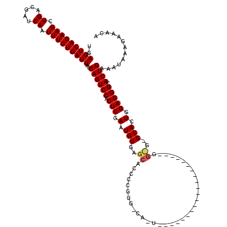 secondary structure