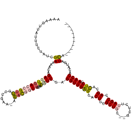 secondary structure