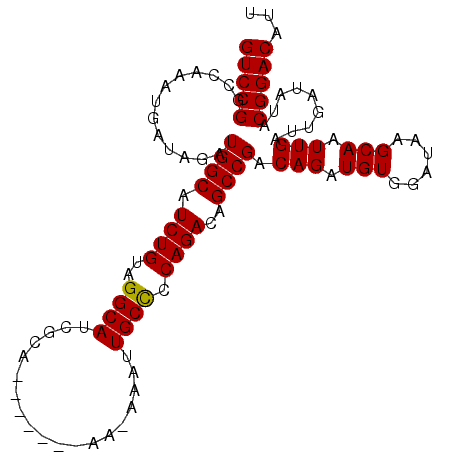 secondary structure