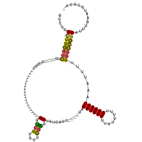 secondary structure