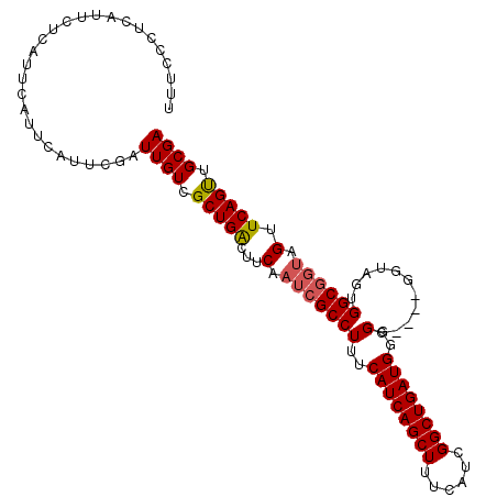 secondary structure