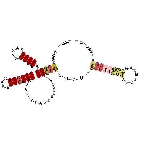 secondary structure