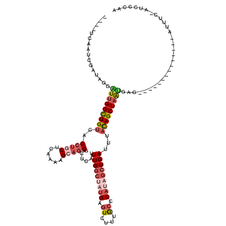 secondary structure