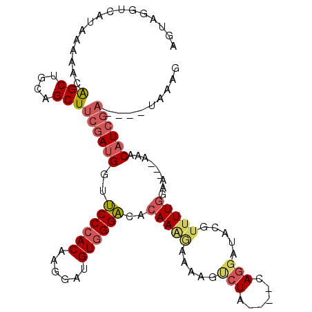 secondary structure